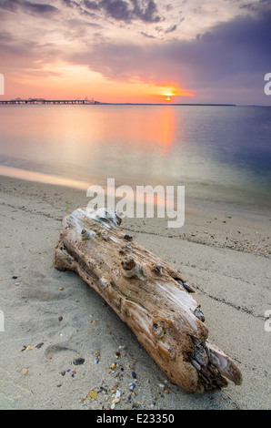 Coucher de soleil sur la baie de Chesapeake de Terrapin Beach Park sur la côte est du Maryland, avec le Bay Bridge dans le fond. Banque D'Images