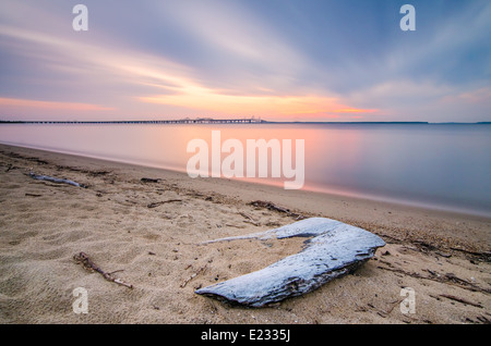 Coucher de soleil sur la baie de Chesapeake de Terrapin Beach Park sur la côte est du Maryland, avec le Bay Bridge dans le fond. Banque D'Images