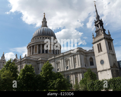 Faible prise de vue au grand angle de la Cathédrale St Paul derrière des arbres contre un ciel bleu Banque D'Images