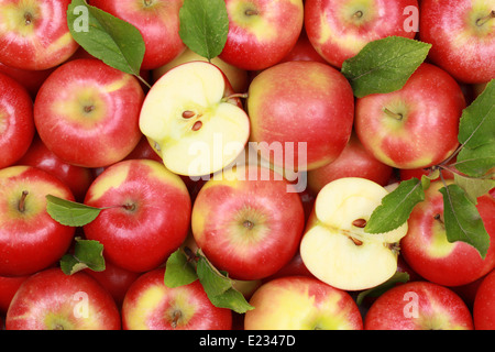 Groupe de pommes rouges avec leurs feuilles Banque D'Images