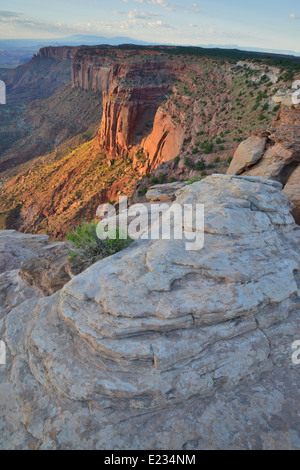 Matin à Buck Canyon Overlook dans Canyonlands National Park près de Moab, Utah Banque D'Images