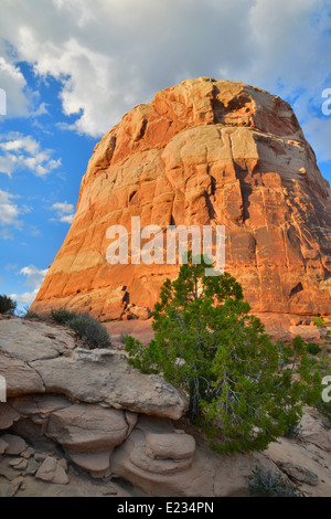 Le Red Rock désert le long de la route de l'arrière-pays de l'autoroute 128 et Dewey Bridge site historique près de Castle Valley, Utah Banque D'Images