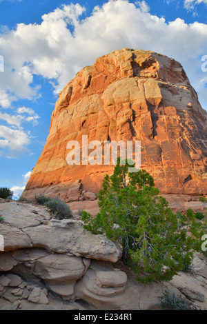 Le Red Rock désert le long de la route de l'arrière-pays de l'autoroute 128 et Dewey Bridge site historique près de Castle Valley, Utah Banque D'Images