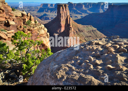 Donnant sur Shafer Trail à Canyonlands National Park dans l'Utah Banque D'Images