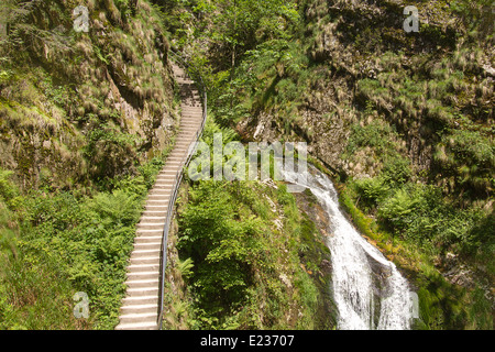 Cascades de tous les Saints, Forêt Noire, Allemagne Banque D'Images