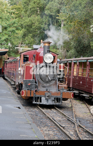 L'Australie, Victoria, Melbourne, Dandenong Ranges. Puffing Billy Steam Train vintage, Historique, vers le début des années 1900. Banque D'Images