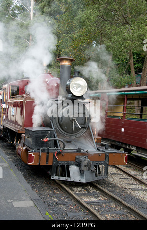 L'Australie, Victoria, Melbourne, Dandenong Ranges. Puffing Billy Steam Train vintage, Historique, vers le début des années 1900. Banque D'Images