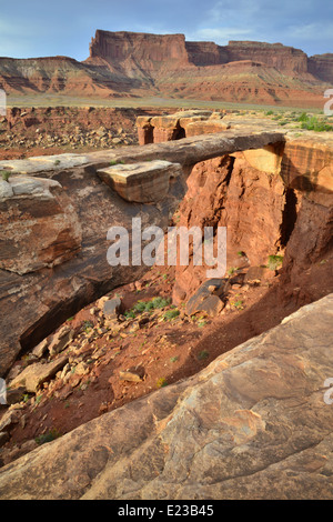 Vue depuis le long de la Rim Trail Blanc à Canyonlands National Park près de Moab, Utah Banque D'Images