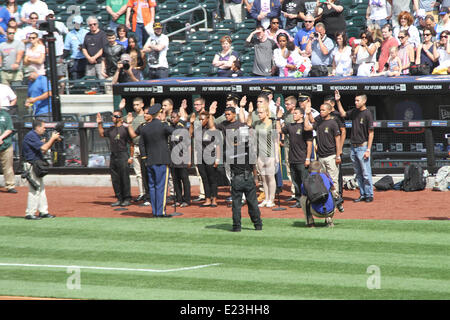 New York, New York, USA. 14 Juin, 2014. San Diego Padres Vs. New York Mets à Citifield Crédit : Bruce Cotler/Globe Photos/ZUMAPRESS.com/Alamy Live News Banque D'Images