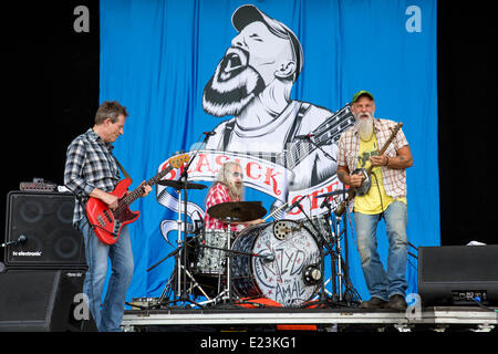 Manchester, New York, USA. 14 Juin, 2014. Seasick Steve effectue live at the 2014 Bonnaroo Music and Arts Festival à Manchester, New York Crédit : Daniel DeSlover/ZUMAPRESS.com/Alamy Live News Banque D'Images