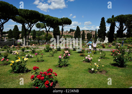 Italie, Rome, Aventin Hill, Roseto Comunale, roseraie municipale Banque D'Images