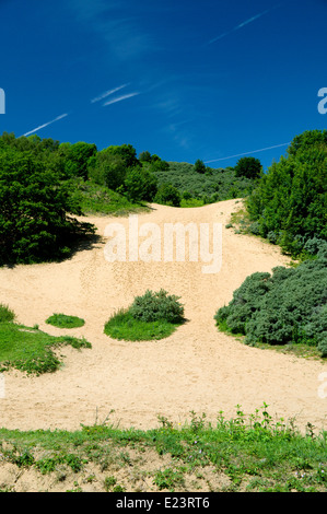 Merthyr Mawr Warrens, Bridgend , Nouvelle-Galles du Sud. Banque D'Images