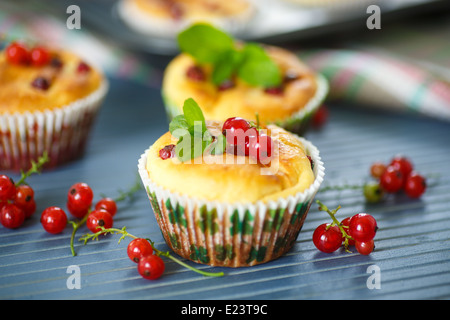 Muffins au fromage avec groseille et menthe Banque D'Images