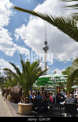 Berlin, Allemagne. 06 Juin, 2014. Les gens s'assoient derrière les palmiers dans un café et restaurant à Alexanderplatz à Berlin, Allemagne, 06 juin 2014. Photo : Jens Kalaene/dpa/Alamy Live News Banque D'Images