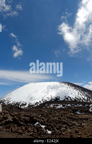 Cinder Head Cone, Mauna Loa, Big Island, Hawaï, États-Unis D'Amérique. Banque D'Images