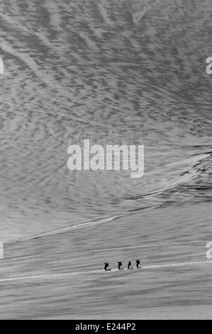 Un groupe d'alpinistes encordés pour traverser un glacier dans les Alpes Suisses Banque D'Images