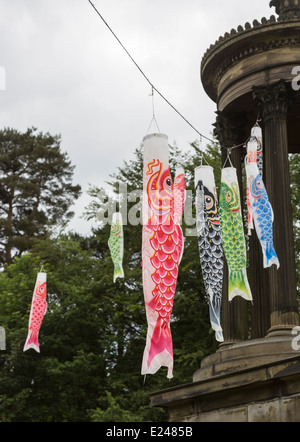 Drapeaux carpes colorées, koinobori, pour la fête des enfants au Japon, le 5 mai, dans le parc Tatton, Cheshire Banque D'Images