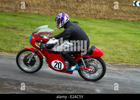 Cholmondeley, Cheshire, Royaume-Uni 15 juin 2014. No.20 1969 Aermacchi Ala D'Oro rider Adam Spencer au defi Wind. L'action est à la 1.2-mile voie dans le parc de Cholmondeley Castle où plus de 120 véhicules et motos de compétition, s'étendant sur sept décennies de sport automobile. Le week-end est l'une des plus grandes célébrations de la puissance et la vitesse dans le pays. Credit : Mar Photographics/Alamy Live News Banque D'Images