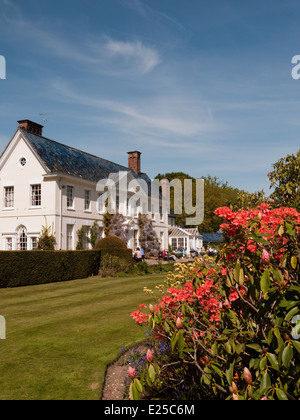 La magnifique Rhododendron et Azalées dans les jardins de Stody Lodge à Norfolk, Angleterre Banque D'Images