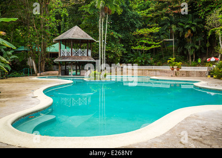 La piscine à la Turtle River Falls près de Ocho Rios, Jamaïque. Banque D'Images