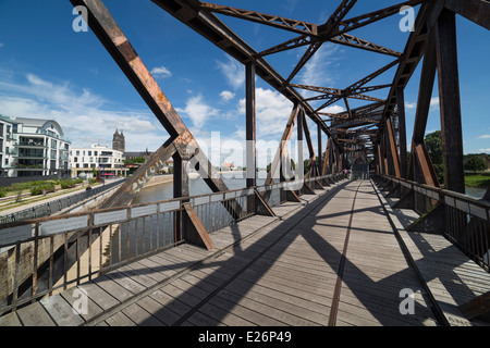 Vue sur l'Elbe, Magdebourg et la cathédrale de l'ancien pont élévateur Banque D'Images