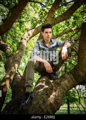 Beau jeune homme assis sur les branches d'arbres à la bas Banque D'Images