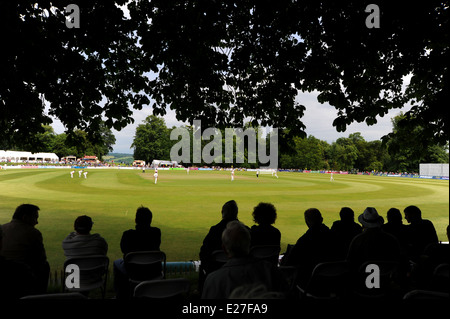 Regarder la foule Sussex match de cricket le joli château d'Arundel sol Banque D'Images
