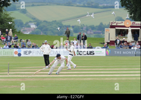 Jouer à la Sussex Yorkshire pittoresque terrain de cricket Arundel Castle UK Banque D'Images