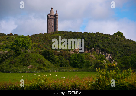 La tour Scrabo Newtownards comté de Down, Irlande du Nord. Banque D'Images