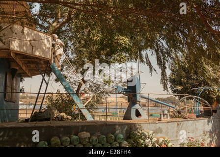 Canonnière historique Melik, Khartoum, Soudan Banque D'Images