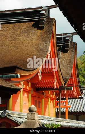 La ligne de toit incurvé et murs peints en orange vif d'un sanctuaire Shinto du Japon. Banque D'Images