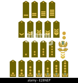 Les grades militaires et de l'insigne du monde. Illustration sur fond blanc. Banque D'Images