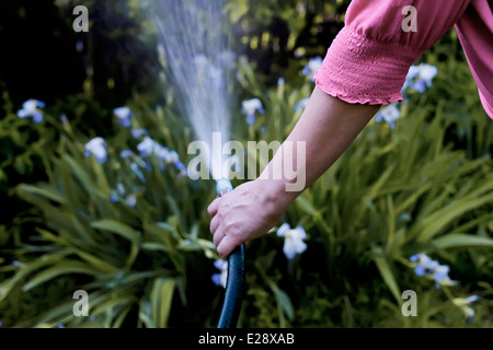 Mains d'une femme, d'arroser son jardin Banque D'Images