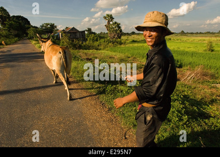 Agriculteur avec une vache près de Kampi. Kratie. Ou Kraches Kratié est une province (khaet) du Cambodge situé dans le nord-est. Il frontières S Banque D'Images