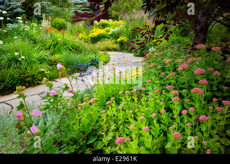 Jardin fleuri avec sedums de premier plan et de pierre chemin dans Betty Ford Alpine Gardens. Vale Colorado Banque D'Images