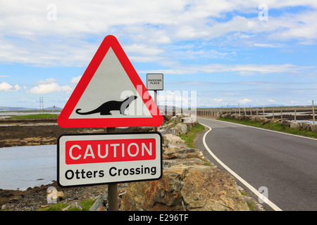 Attention Passage loutres triangle rouge road sign by causeway de Benbecula à North Uist Outer Hebrides Western Isles Scotland UK Banque D'Images