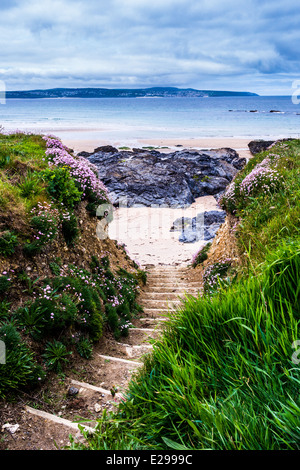 Vue vers le bas certaines étapes de la falaise jusqu'à la plage de Godrevy à Cornwall Banque D'Images