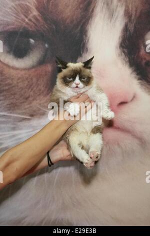 Las Vegas, NV, USA. 17 Juin, 2014. Grumpy Cat présente à Las Vegas Licensing Expo 2014 - MAR, Mandalay Bay Resort and Casino, Las Vegas, NV le 17 juin 2014. Credit : James Atoa/Everett Collection/Alamy Live News Banque D'Images