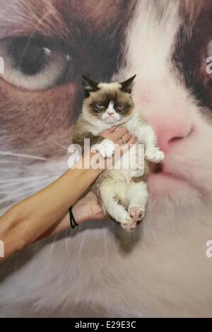 Las Vegas, NV, USA. 17 Juin, 2014. Grumpy Cat présente à Las Vegas Licensing Expo 2014 - MAR, Mandalay Bay Resort and Casino, Las Vegas, NV le 17 juin 2014. Credit : James Atoa/Everett Collection/Alamy Live News Banque D'Images