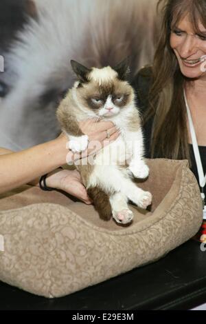 Las Vegas, NV, USA. 17 Juin, 2014. Grumpy Cat, ventilateur présente à Las Vegas Licensing Expo 2014 - MAR, Mandalay Bay Resort and Casino, Las Vegas, NV le 17 juin 2014. Credit : James Atoa/Everett Collection/Alamy Live News Banque D'Images