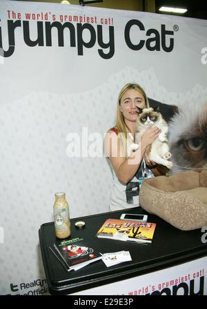 Las Vegas, NV, USA. 17 Juin, 2014. Tabby Cat grincheux, Bundesen présents à Las Vegas Licensing Expo 2014 - MAR, Mandalay Bay Resort and Casino, Las Vegas, NV le 17 juin 2014. Credit : James Atoa/Everett Collection/Alamy Live News Banque D'Images