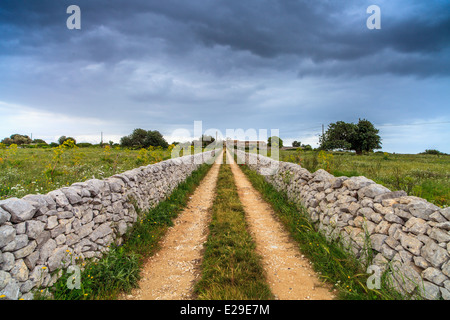 Chemin rural dans la campagne sicilienne Banque D'Images