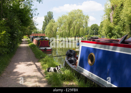 Grand Union Canal - Berkhamsted - Hertfordshire Banque D'Images