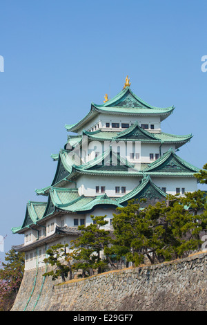 Château de Nagoya, Nagoya, Aichi, Japon Banque D'Images