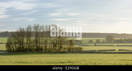 Une vue panoramique sur les terres agricoles sur les collines de Mendip, dans le Somerset. Banque D'Images