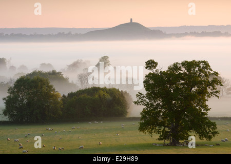 Un matin de printemps brumeux donnant sur Tor de Glastonbury, dans le Somerset. Banque D'Images