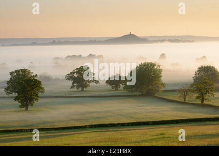 Un matin de printemps brumeux donnant sur Tor de Glastonbury, dans le Somerset. Banque D'Images