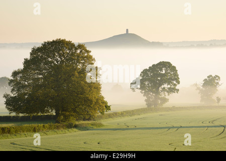 Un matin de printemps brumeux donnant sur Tor de Glastonbury, dans le Somerset. Banque D'Images