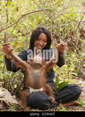 Orang-outan orphelin d'un an avec une femme souriante qui profite d'une séance de jeu dans la forêt tropicale à Bornéo pour se préparer à une éventuelle libération dans la nature Banque D'Images