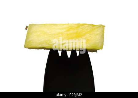 Cut Out. La mouche des fruits communs (Drosophila melanogaster) sur un morceau d'ananas jaune au sommet d'une Spork en plastique noir sur fond blanc Banque D'Images